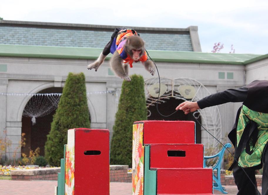 福岡城ナイトマーケット-4