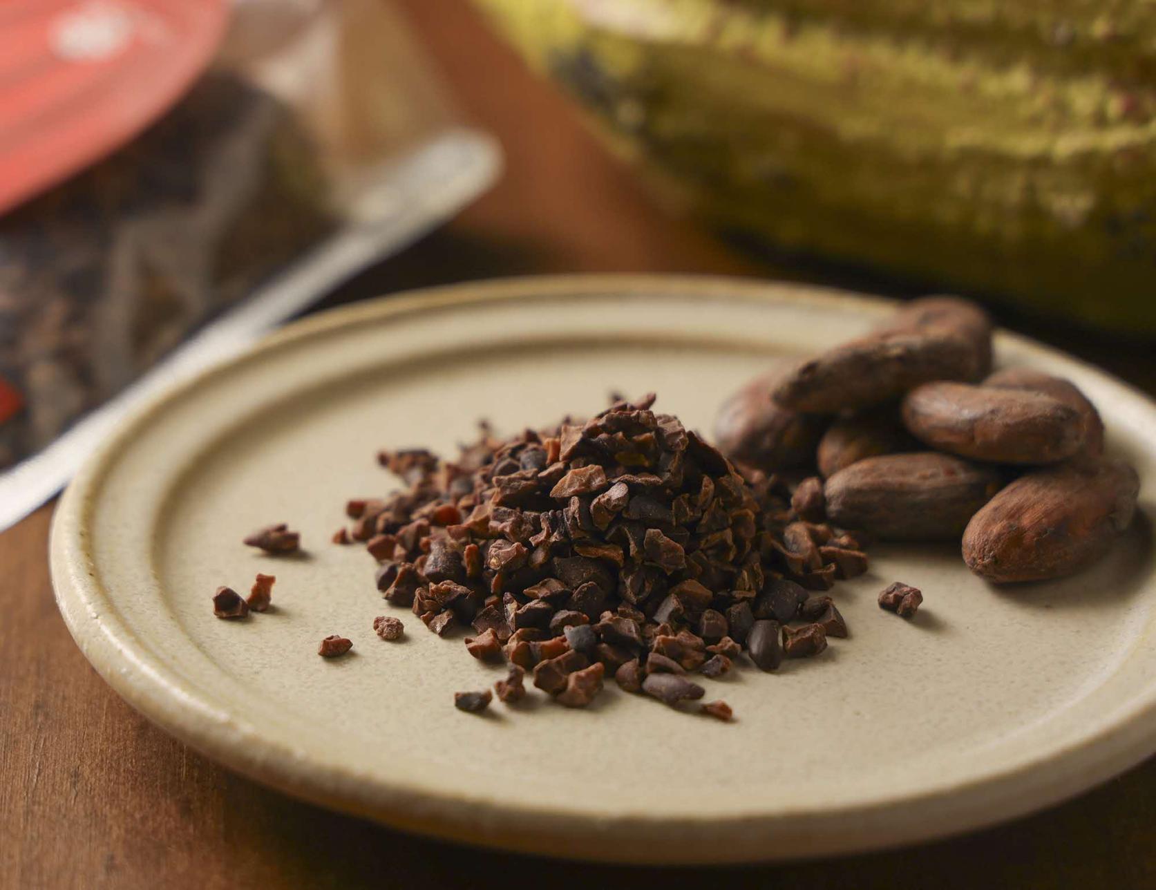 カカオ研究所-6