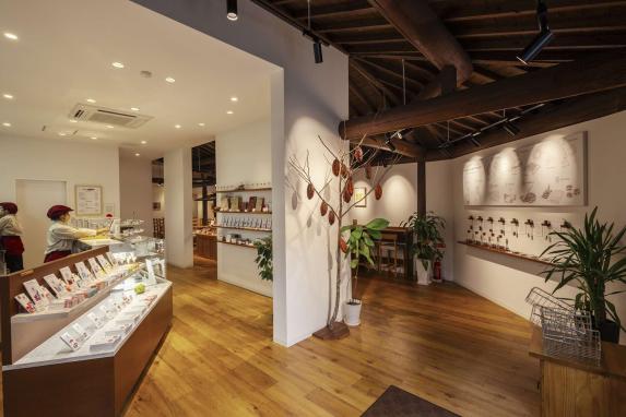 カカオ研究所-0