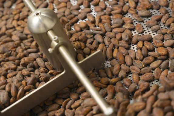 カカオ研究所-3