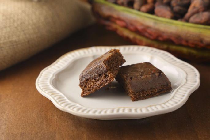 カカオ研究所-7