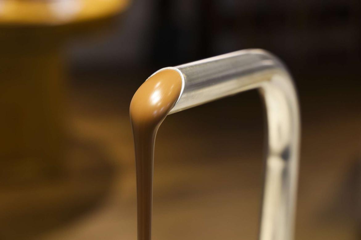 カカオ研究所-2