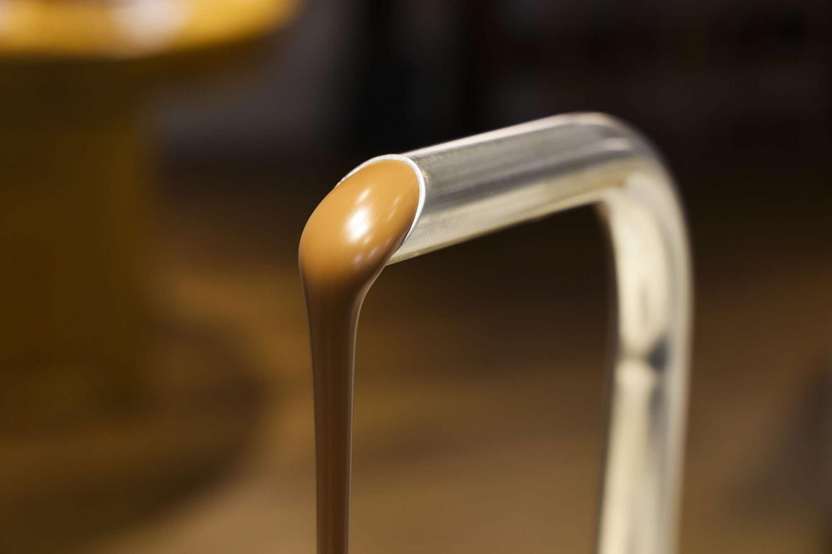 カカオ研究所-2