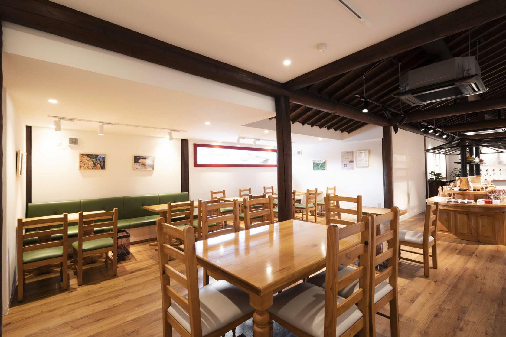 カカオ研究所-8