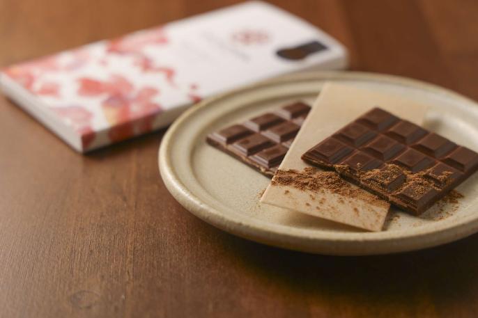 カカオ研究所-5