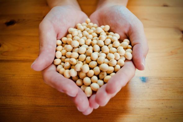 金芳醬油釀造元-5