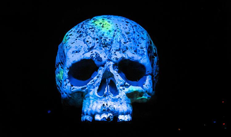 夏の特別展「妖怪おばけ科学館」-9