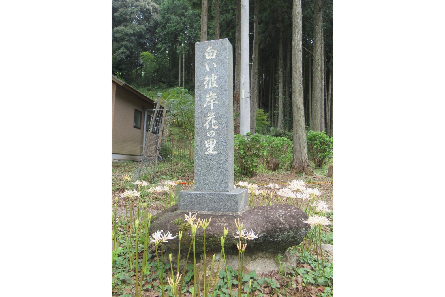 不老山正光寺-1