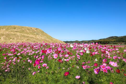 世界遺産 海と神秘のカードラリー-5