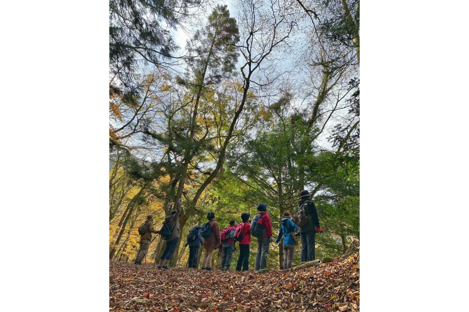 【ぶぜんみたいけん】初冬の森林セラピーと里山のリースづくり-5