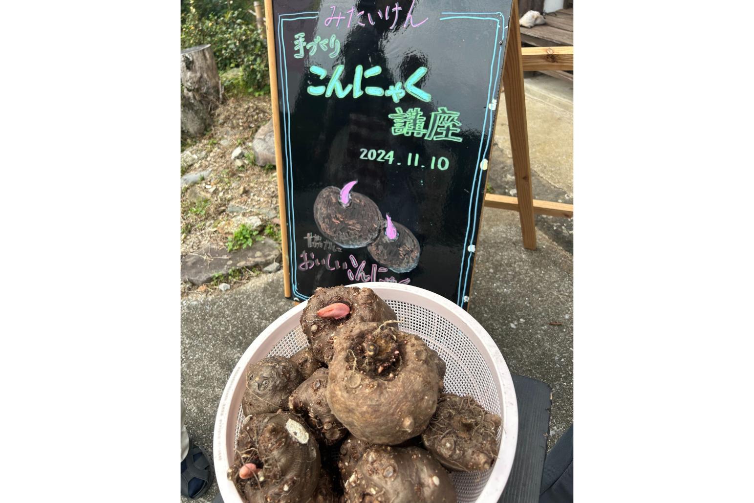 【ぶぜんみたいけん】求菩提路でこんにゃく作り-2