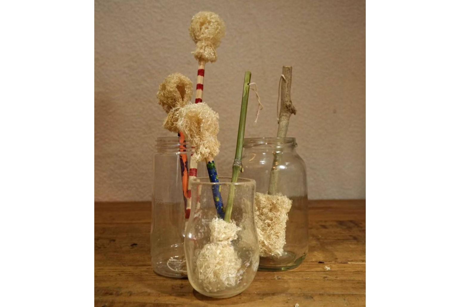 【ぶぜんみたいけん】へちまの暮らしづくり「ボトルブラシ編」-2