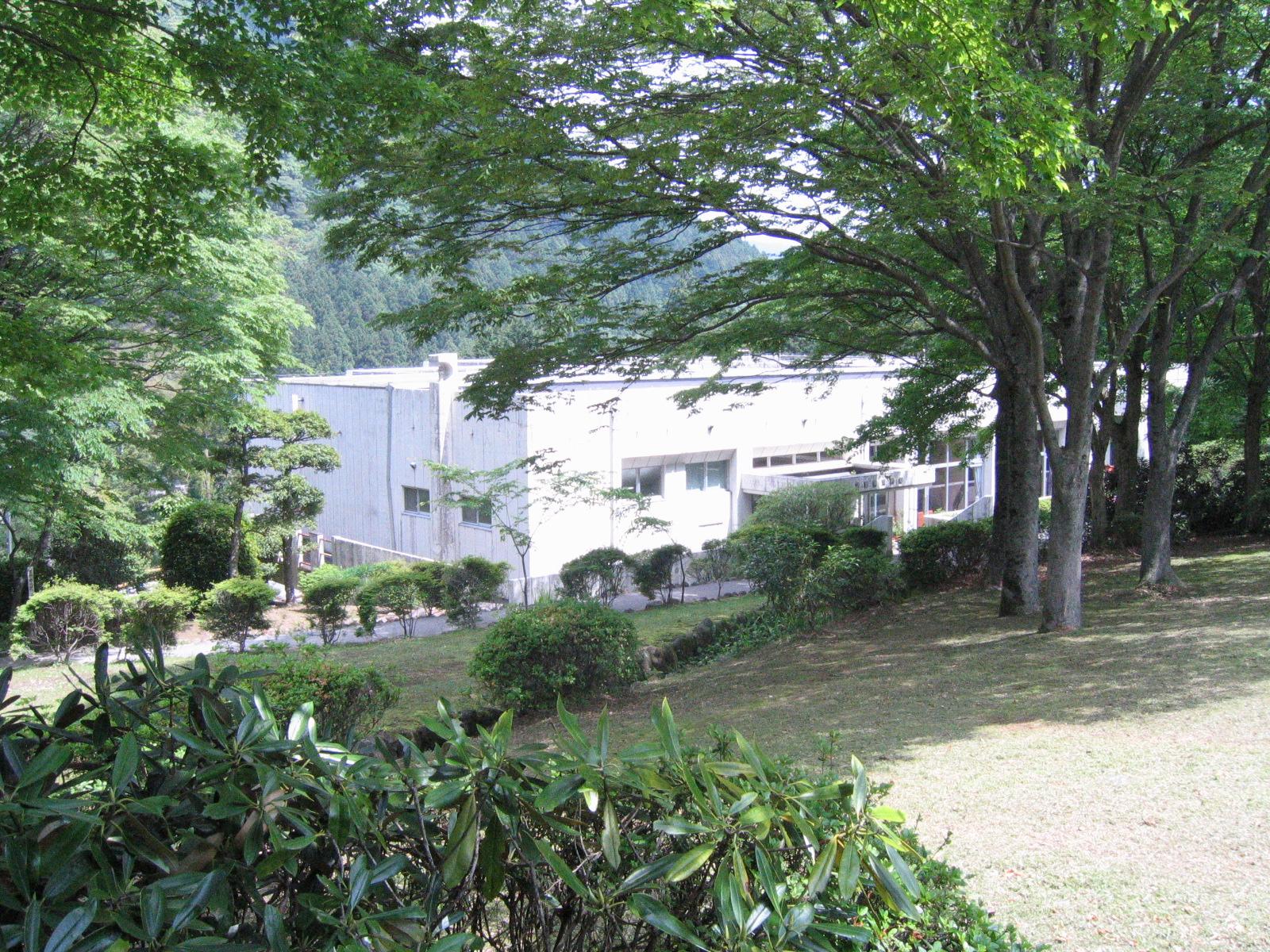 【ぶぜんみたいけん】おしゃれなしめ飾り-2