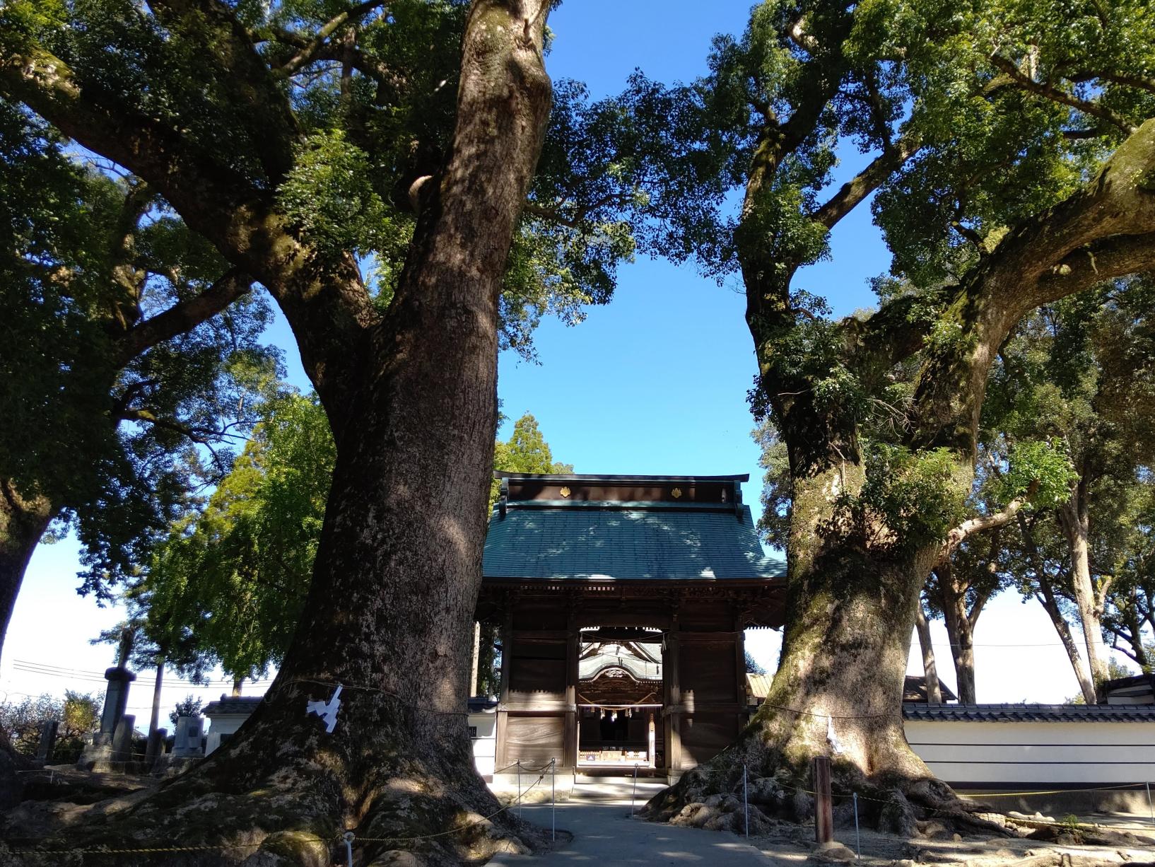 恋のくに筑後市サイクルスタンプラリー-5