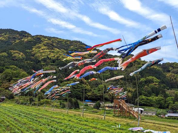 二丈赤米産直センターの鯉のぼり-1