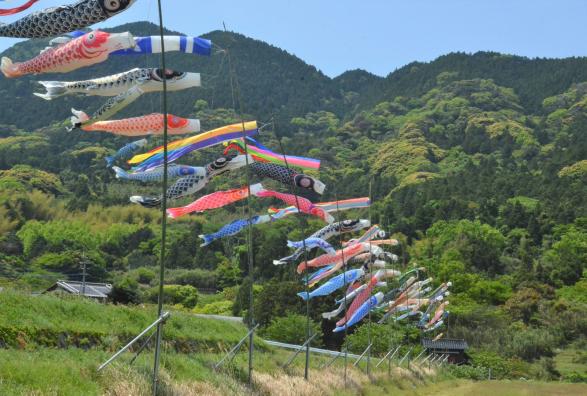 二丈赤米産直センターの鯉のぼり-0