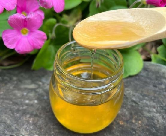 北九州都市圏域マルシェinパサージュ広場-7