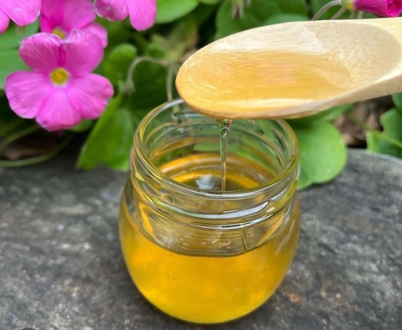 北九州都市圏域マルシェinパサージュ広場-7