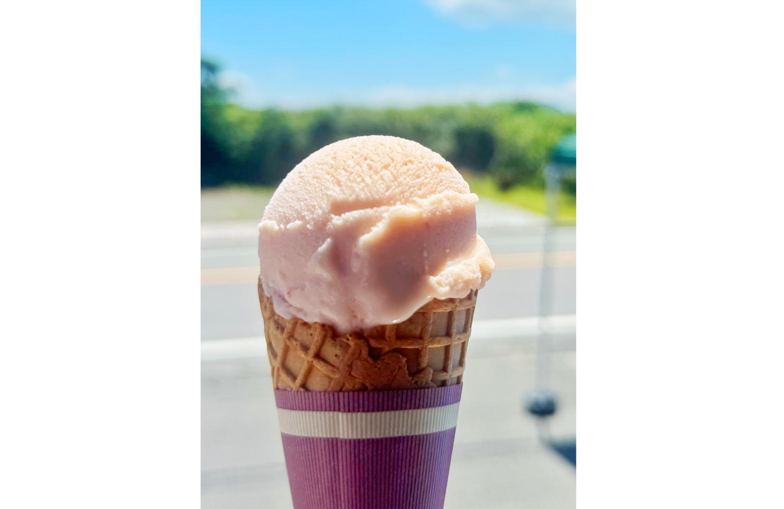 北九州都市圏域マルシェinパサージュ広場-9