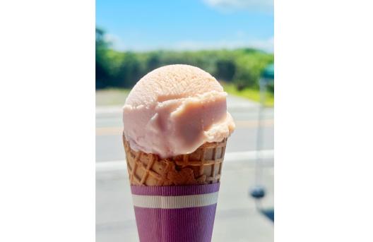 北九州都市圏域マルシェinパサージュ広場-9