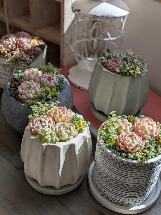 北九州都市圏域マルシェinパサージュ広場-5