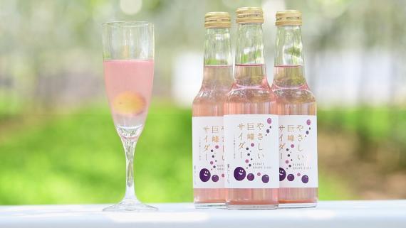 北九州都市圏域マルシェinパサージュ広場-0