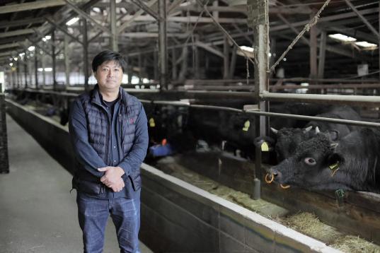 【いいづかヒューマンツーリズム】食育 福岡県最古の牛  筑穂牛の牛舎見学（飯塚市）-0