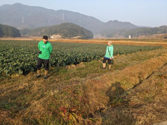 【いいづかヒューマンツーリズム】ブロッコリー収穫体験（飯塚市）-2