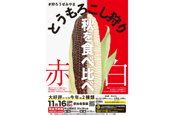 とうもろこし狩り（みやま市）-0