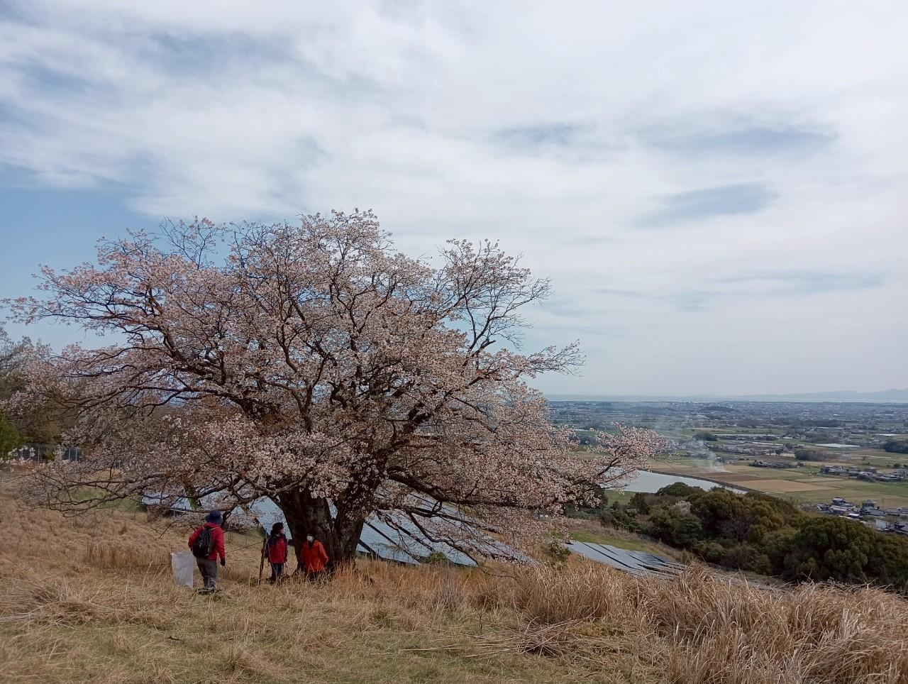 【森林セラピー基地豊前】森林セラピー体験　時を忘れ心澄む見晴らしの丘で心身の浄化～坐禅と見晴らしの丘散策～-1