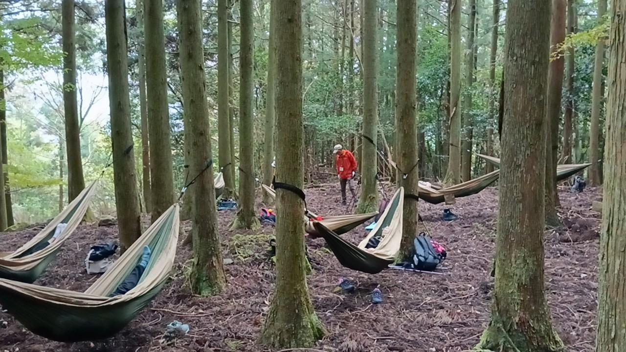 【森林セラピー基地豊前】森林セラピー体験　史跡巡りと癒しのハンモック体験-1