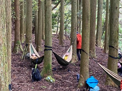 【森林セラピー基地豊前】森林セラピー体験　史跡巡りと癒しのハンモック体験-0