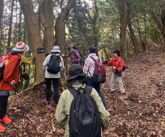 【森林セラピー基地豊前】森林セラピー体験　晩秋の求菩提山トレッキングと森林セラピー-0