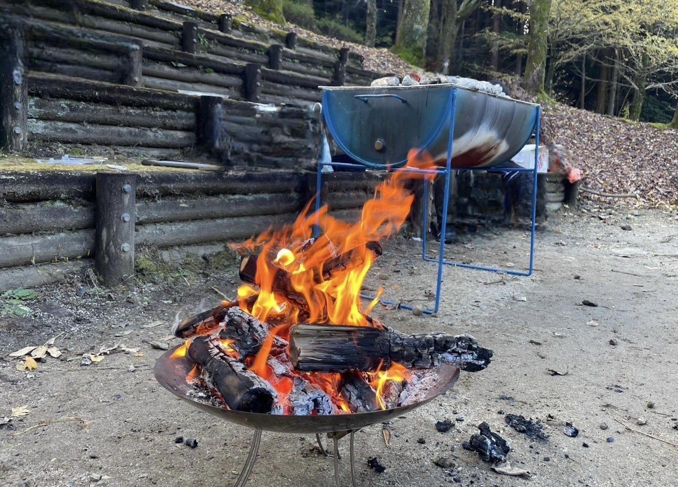【森林セラピー基地豊前】森林セラピー体験　初冬の山歩きと焚き火体験-1