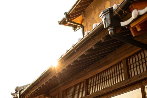 旅する果実時間　みかん狩りと秋の美食体験ツアー-9