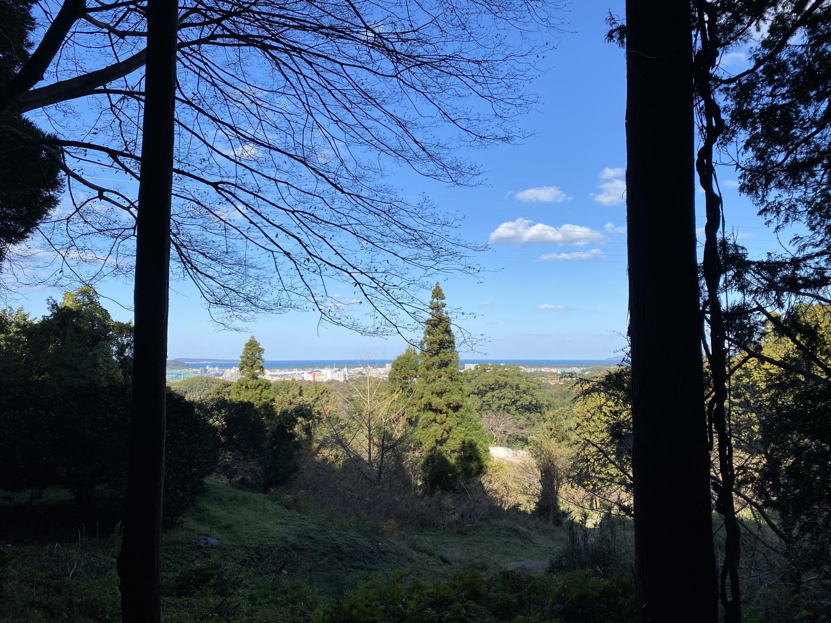 しんぐう愛の森-0