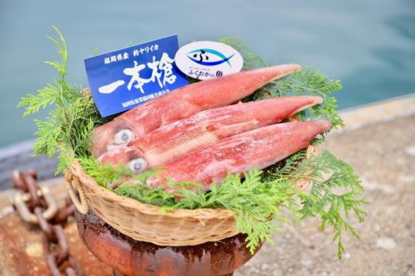 一本槍（イカ）-1