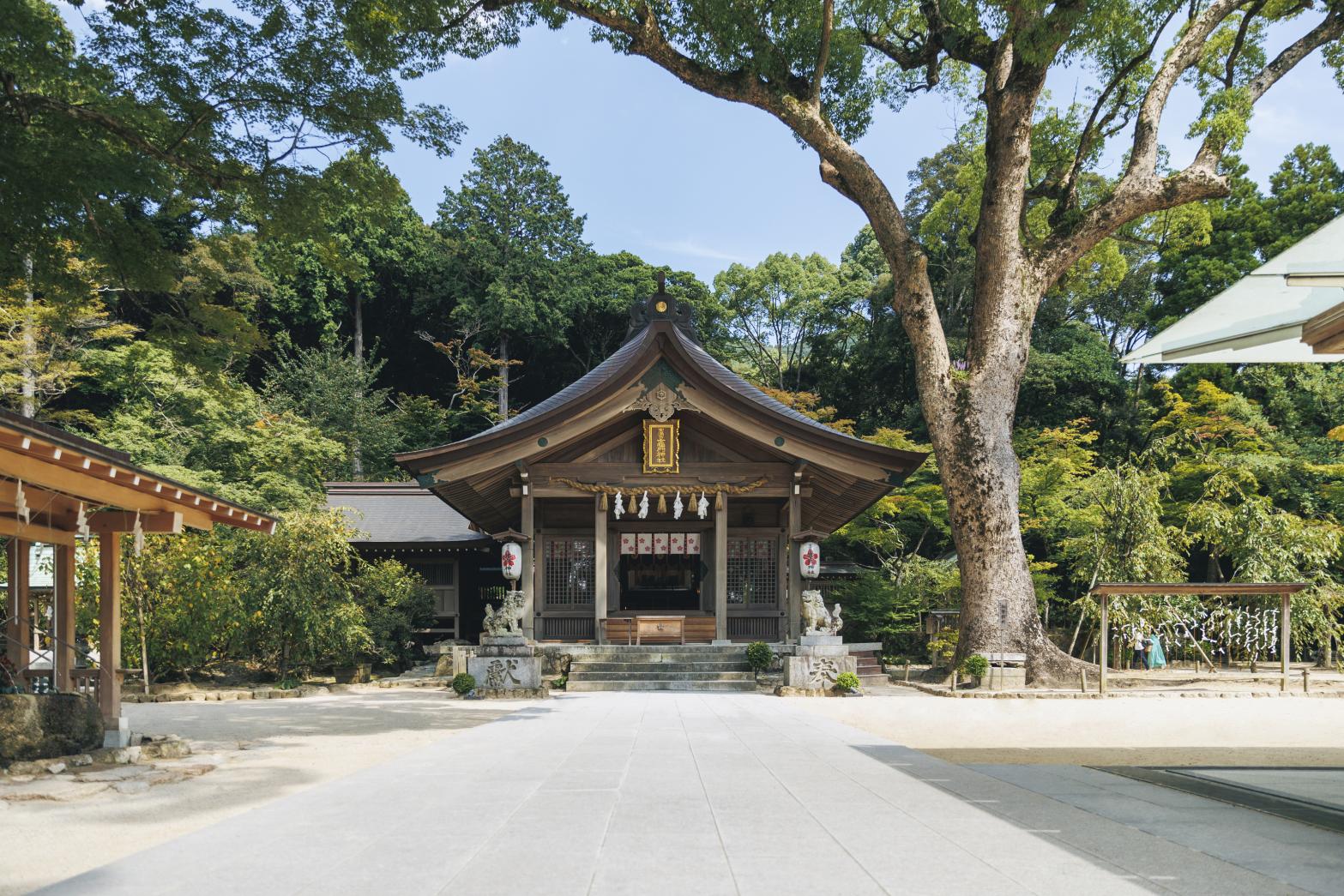 【宝満宮竈門神社】秋のえんむすび大祭-1