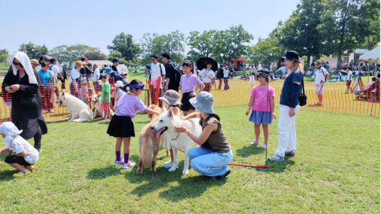 オドフェス2025-1