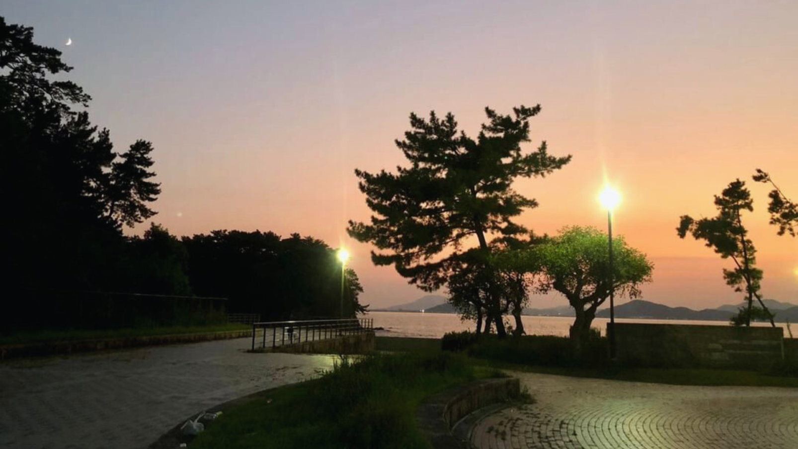 オドフェス2025-6