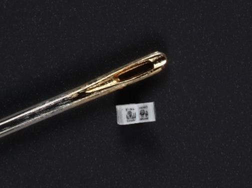 【いのちのたび博物館】秋の特別展「『べらぼう』におもしろい印刷展」-3