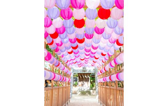 現人神社　恋ぼんぼり回廊-0