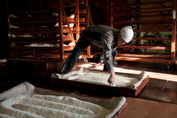 若竹屋酒造場 秋の蔵まつり-3