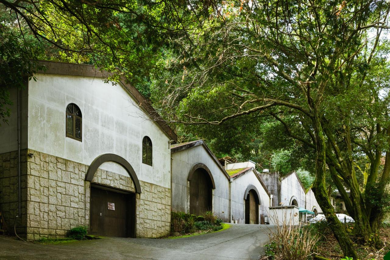 巨峰ワイナリー 巨峰ヌーボー祭り-1