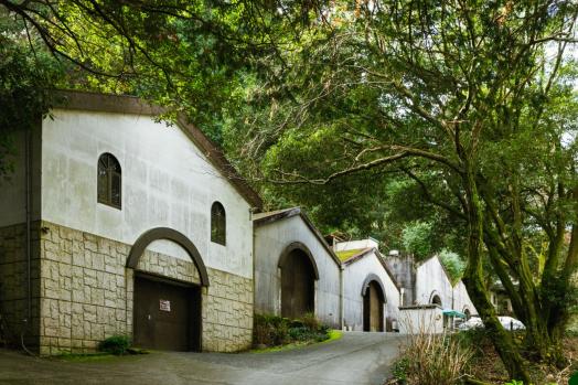 巨峰ワイナリー 巨峰ヌーボー祭り-1