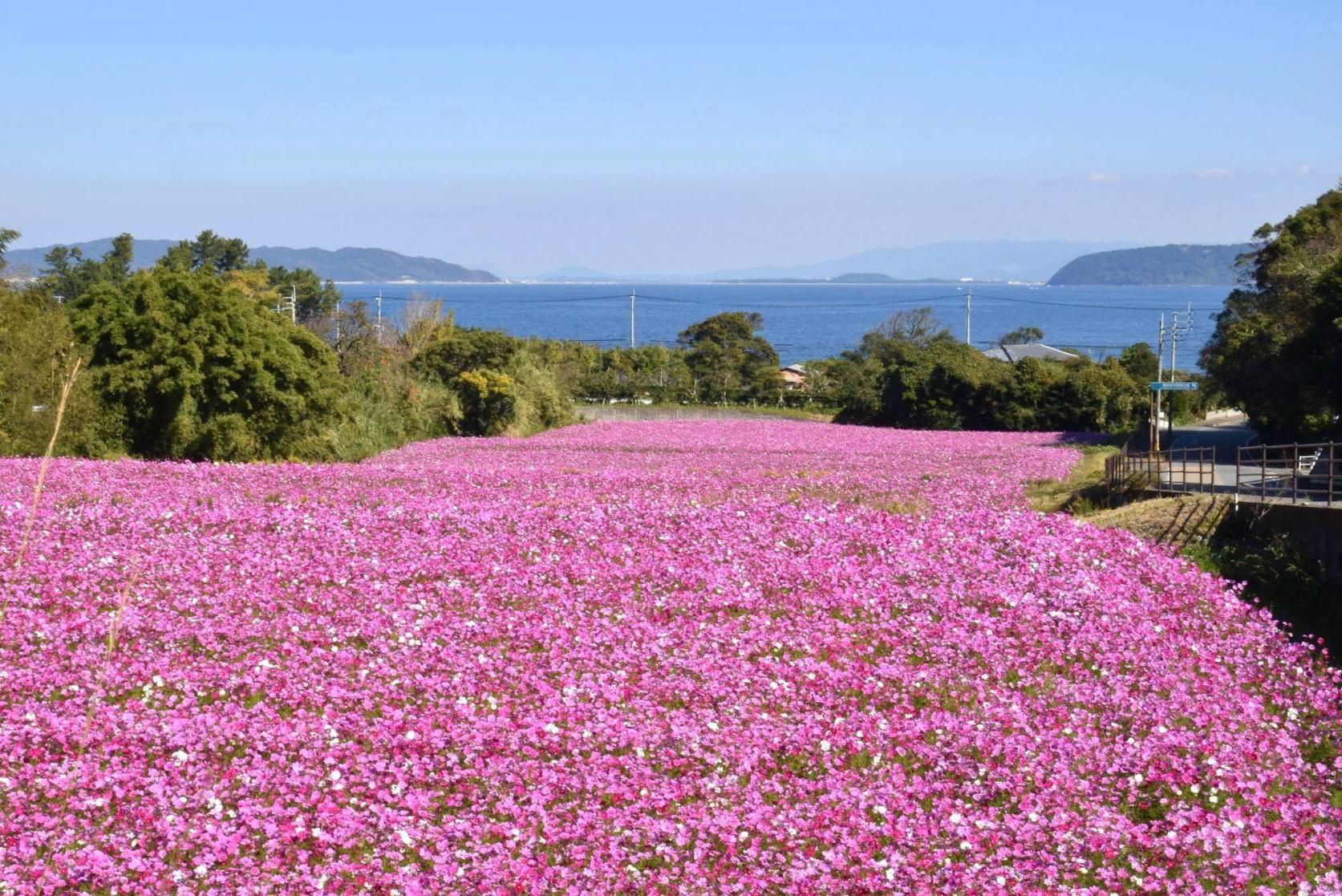 ※過去の写真です