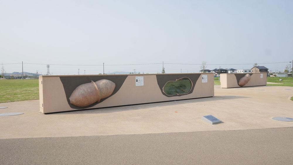 吉武高木遺跡「やよいの風公園」コスモスまつり-3