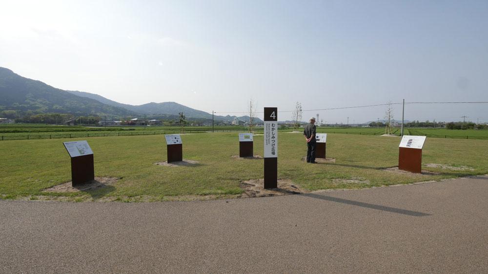 吉武高木遺跡「やよいの風公園」コスモスまつり-4