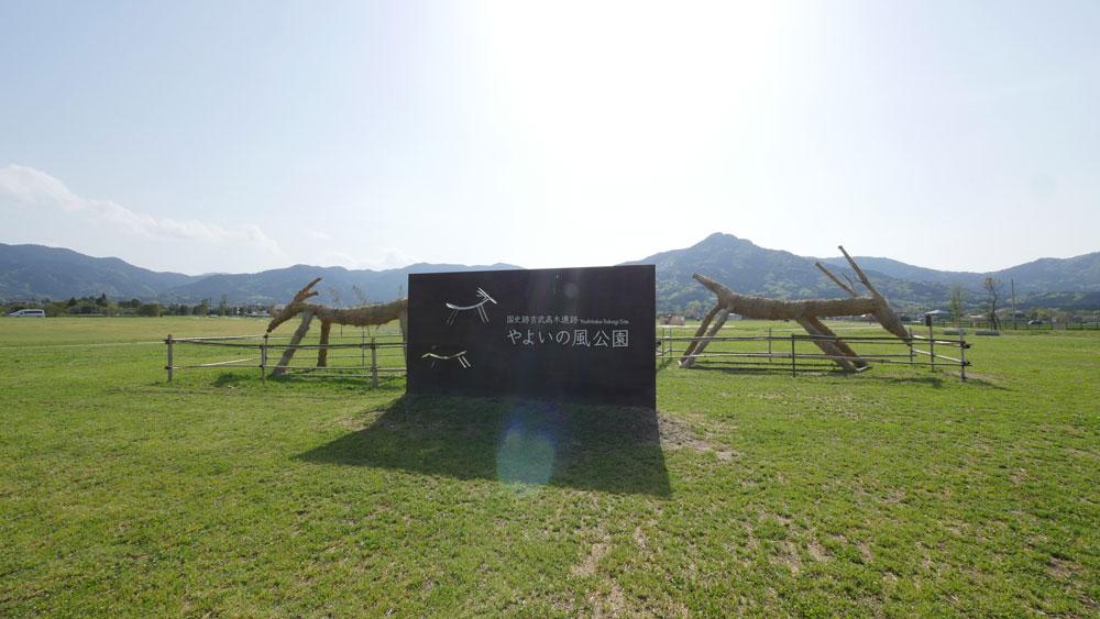 吉武高木遺跡「やよいの風公園」コスモスまつり-1