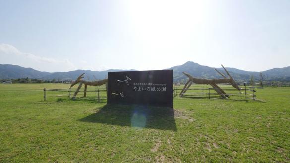 吉武高木遺跡「やよいの風公園」コスモスまつり-1